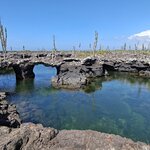 Photo taken by Vinay K