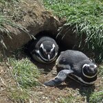 Photo taken by Marcia R