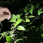 Photo taken by Bonnie Y