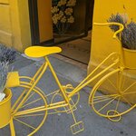 Photo taken by Lyon K