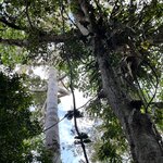 Photo taken by Sarah C