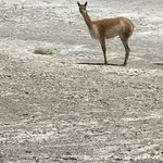 Photo taken by alton r