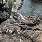 Photo taken by Lisa P