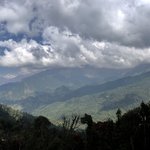 Photo taken by Amanda D