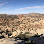 A walk with Mohammed  | Photo taken by Nicole C