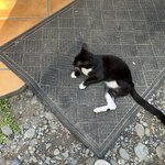 Photo taken by Kate R