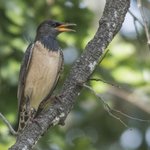 Photo taken by Graham D