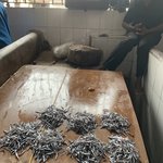 Photo taken by Kristin M