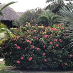 Photo taken by Juliette S