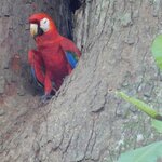 Photo taken by Brett F