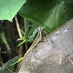 Photo taken by Michelle D