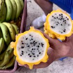 Photo taken by Erin K