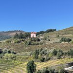 Photo taken by Julie G