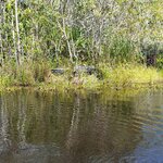 Photo taken by Bree J