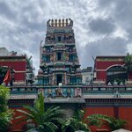 Photo taken by Vanessa V