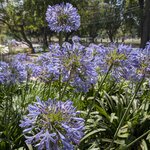 Photo taken by Jananee J