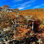 Photo taken by Terry M