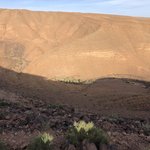 Photo taken by Margi S