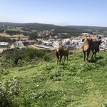 Photo taken by James H