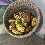 Photo taken by Darcy M