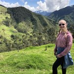 Wax palms (and Sarah) | Photo taken by Rachel B