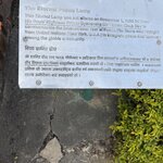 Photo taken by Meenakshi B