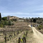 Photo taken by Joey R