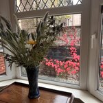 Photo taken by Ellen D