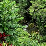 Photo taken by Nancy P