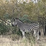 Photo taken by rhonda c