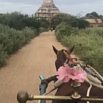 Photo taken by Cynthia C