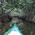 Photo taken by Juliette S