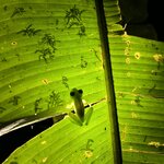 Photo taken by Brian L