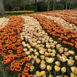 Photo taken by Brian M