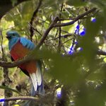 Photo taken by Ora Y