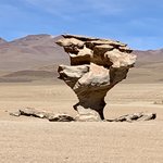 Arbor de Piedra | Photo taken by Flaminia R