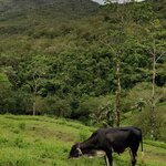 Photo taken by Mordechay T