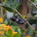 Photo taken by rebecca t