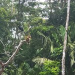 Photo taken by Darla D