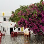 Photo taken by David B