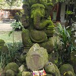 Photo taken by Valerie K