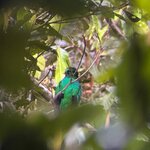 Photo taken by Chris H