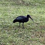 Photo taken by Michael L