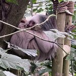 Photo taken by Sheila G