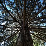 Photo taken by Judah J