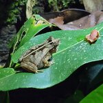 Photo taken by Tom B