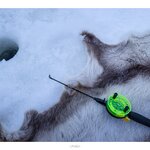 Photo taken by Ann B