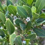 Photo taken by Rosemary S