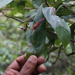 Photo taken by Emily K