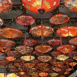 Photo taken by Jacqui O